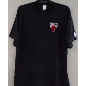 Chicago Bulls Embroidered T-Shirt S-6 Lt-4t New